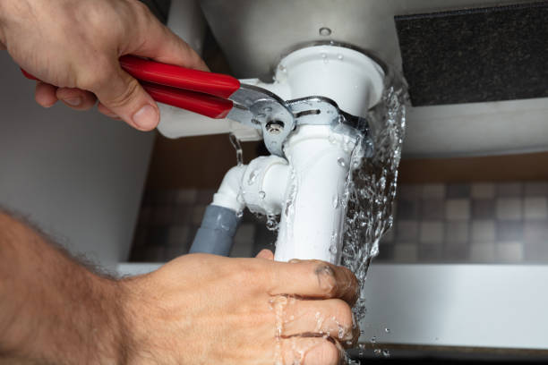Best Flooded house restoration  in Jonesboro, IL