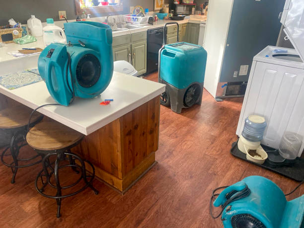 Best Water damage restoration near me  in Jonesboro, IL