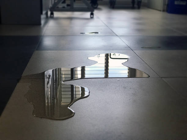 Best Local water damage restoration  in Jonesboro, IL